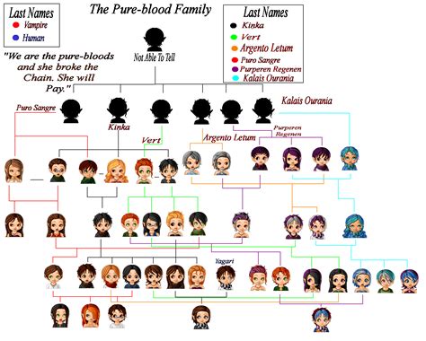 pure blood wizard families|the pureblood family tree.